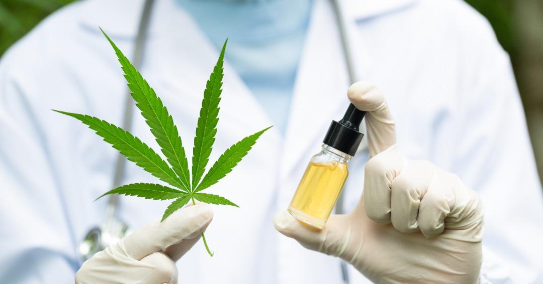 Discover the Benefits of High-Quality CBD Products Made with Natural Ingredients